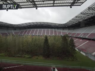 30-тысячный стадион под лес: в Австрии футбольное поле засадили деревьями