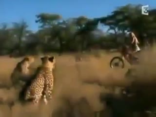 Ох доиграется девка...