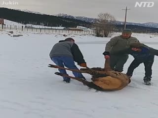 Одни убивают,другие спасают.