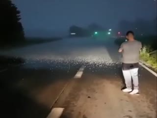 Граница бури