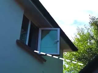 Всё ради котика