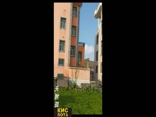 Зачем она туда полезла?