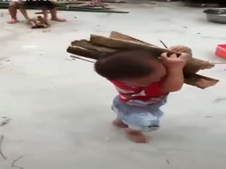 Вот это воспитание