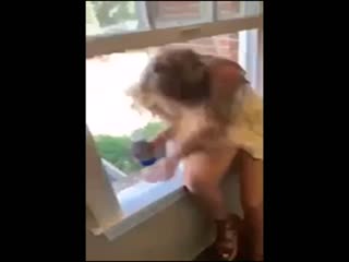 У неё была тактика и она её придерживалась