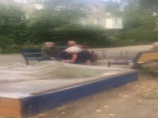 Смотрящие за двором