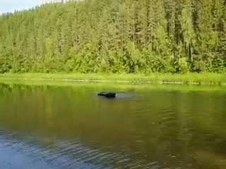 Видимо водяной решил немного пошалить