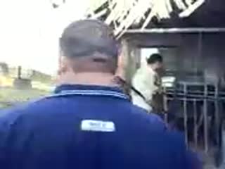 Попался волчара...