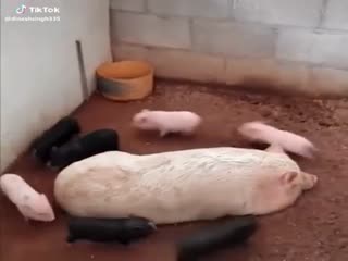 Мама спит, она устала!