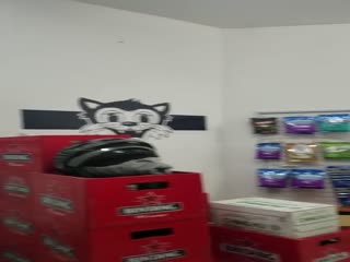 Замаскированный бар на острове Бали