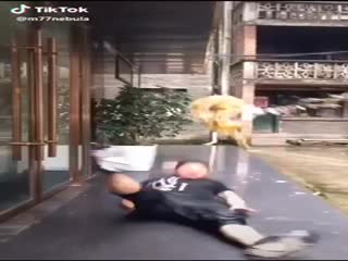 Неустойчивый китаец