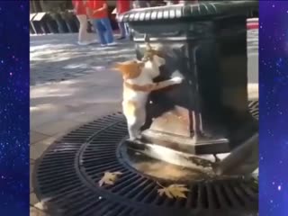 Доброе утро