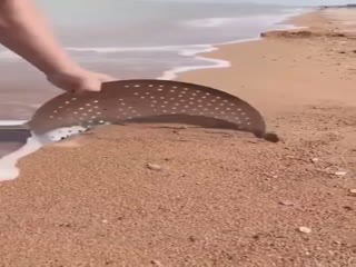 Намываем крабов