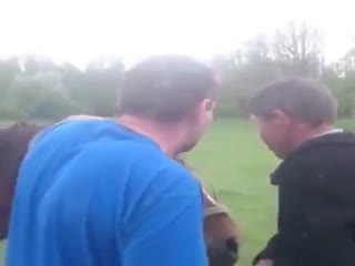 Лошадь тебя не слушается, понимаешь?