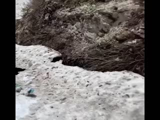 Тот момент, когда очень сильно повезло