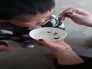 Мелкого китайчонка кормят головастиками