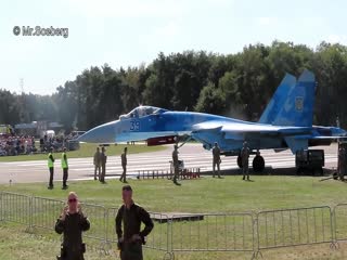Украинский Су-27 нанес воздушный удар по жителям Бельгии