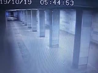Видеозапись с моментом нападения на полицейского в Москве попала на всеобщее обозрение