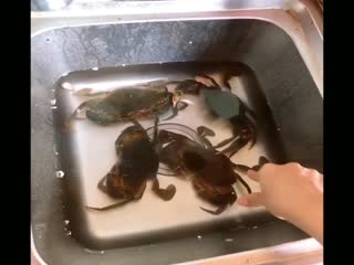 Нужно было сунуть нос