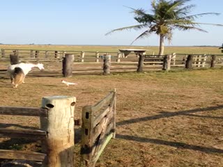 Ох,рискуешь Петя...