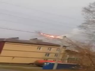 В Новосибирской области дерево упало на провода и начало метать молнии