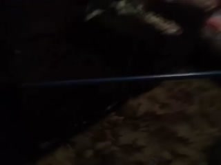 Мамин трюкач