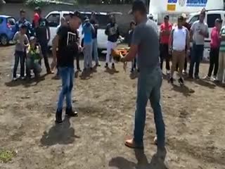 Сначала я разберусь с тобой