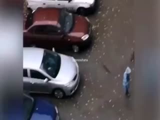 Череповецкое быдло привыкло выгуливать свою бойцовую пилораму без намордника