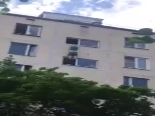 В Зеленограде мужчина сорвался с девятого этажа