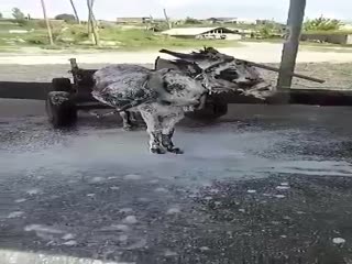 Заехал на мойку