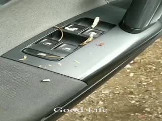 Китайцы продолжают удивлять.