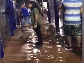 Освежилась