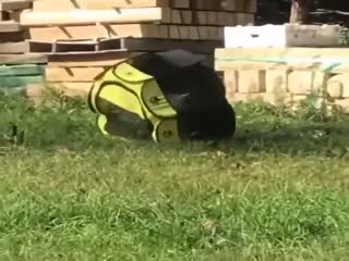 Замуровали, демоны!