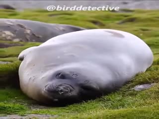 Один из нас