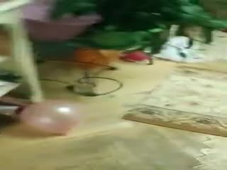 Девки, снимайте трусы, к нам пацаны идут