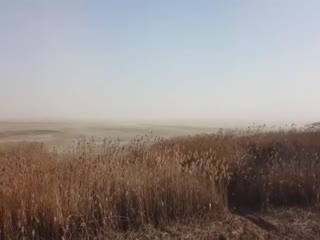 Азовское море ушло