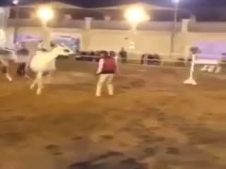 Красивый,но злой...