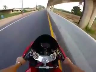 Мотоциклист и щенки