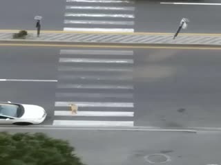 Добрая душа...