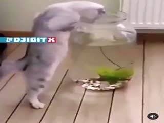 Чуть не утонул.