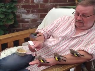 Нахлебники:)))