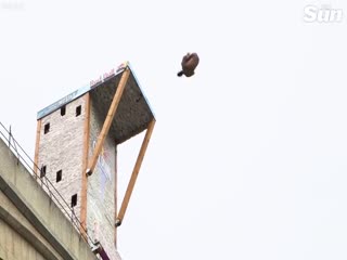 Неудачные прыжки в воду на соревнованиях Ред Булл по клифф-дайвингу