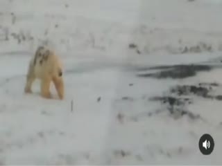 Вся суть русского человека