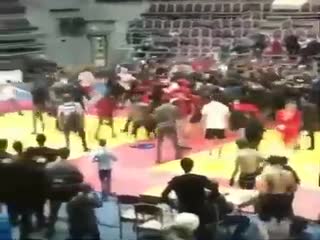 Самбо + бокс - красота!