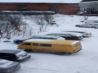 Нападение бездомных собак в Полярном