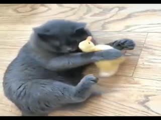 Наверное, это любовь...