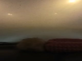 Ужас! Как там люди живут?