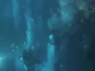 Это ли не чудо?