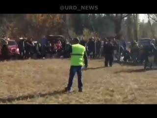 На собачьих боях в Ростовской области алабай напал на собственного хозяина