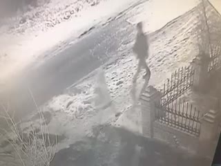 Ижевский педофил