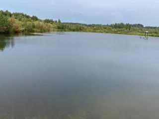 Выдрёнок учится плавать